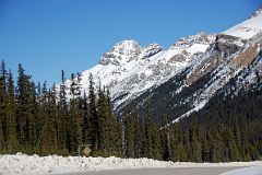 55 Mount Weed From Icefields Parkway